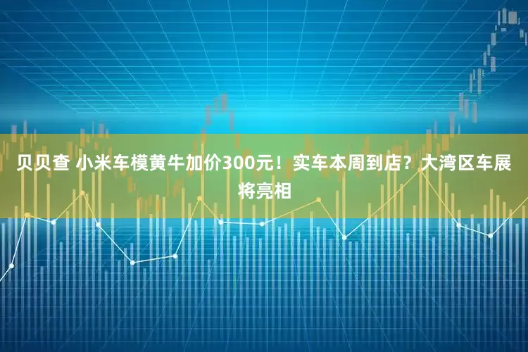 贝贝查 小米车模黄牛加价300元！实车本周到店？大湾区车展将亮相