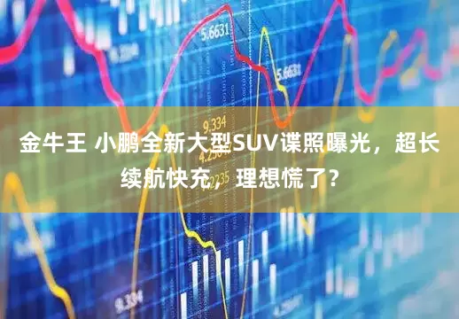金牛王 小鹏全新大型SUV谍照曝光，超长续航快充，理想慌了？
