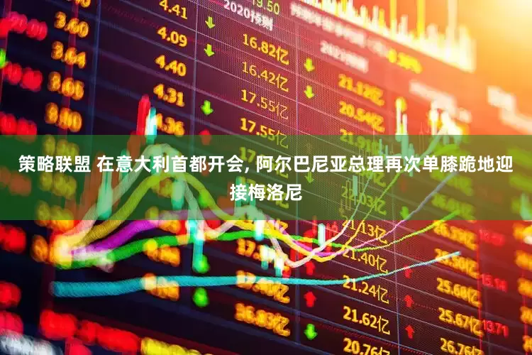 策略联盟 在意大利首都开会, 阿尔巴尼亚总理再次单膝跪地迎接梅洛尼