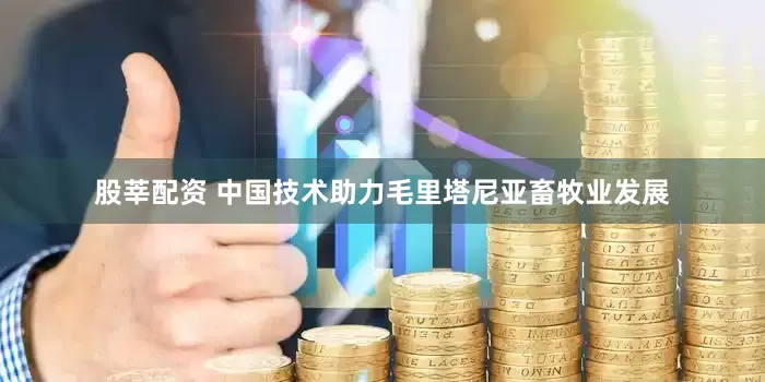 股莘配资 中国技术助力毛里塔尼亚畜牧业发展