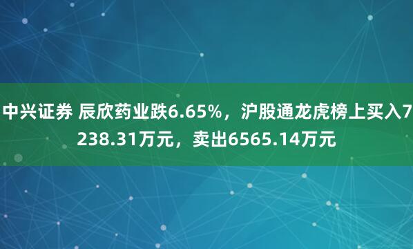 中兴证券 辰欣药业跌6.65%，沪股通龙虎榜上买入7238.31万元，卖出6565.14万元