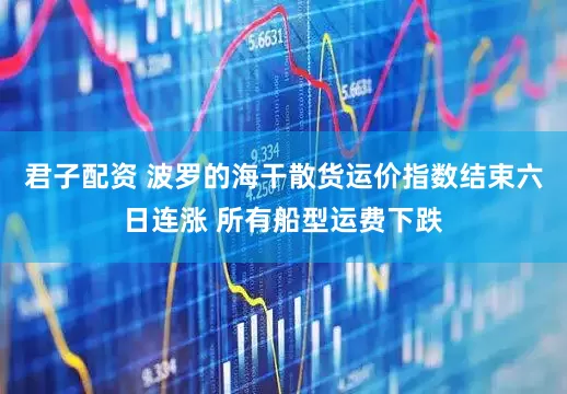 君子配资 波罗的海干散货运价指数结束六日连涨 所有船型运费下跌